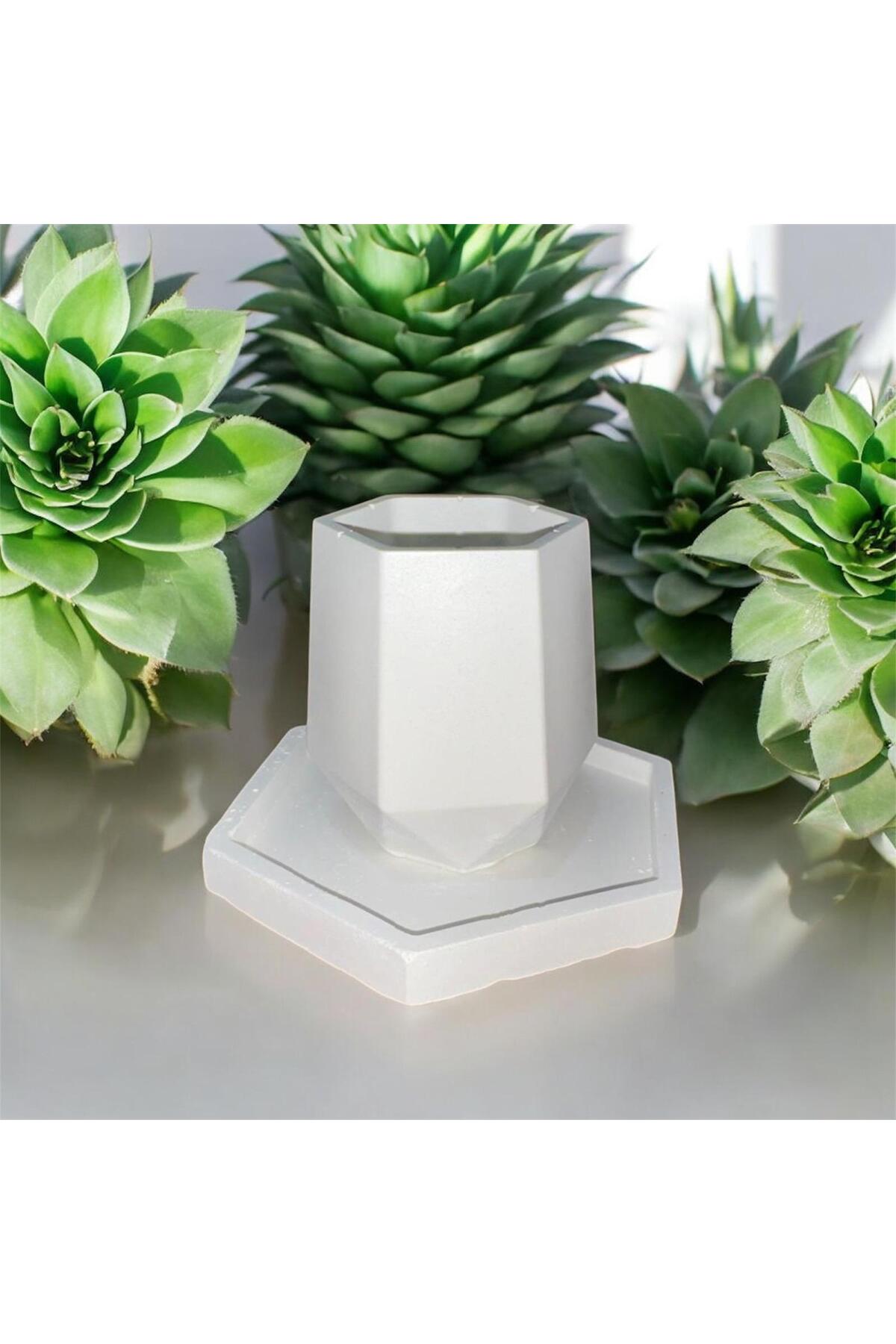 Tabaklı Sukulent Saksısı (Özel Üretim)