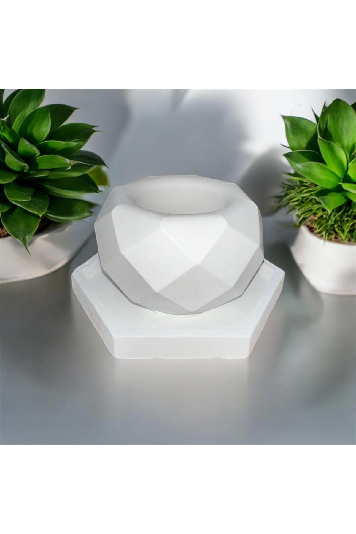 Tabaklı Sukulent Saksısı (Özel Üretim)