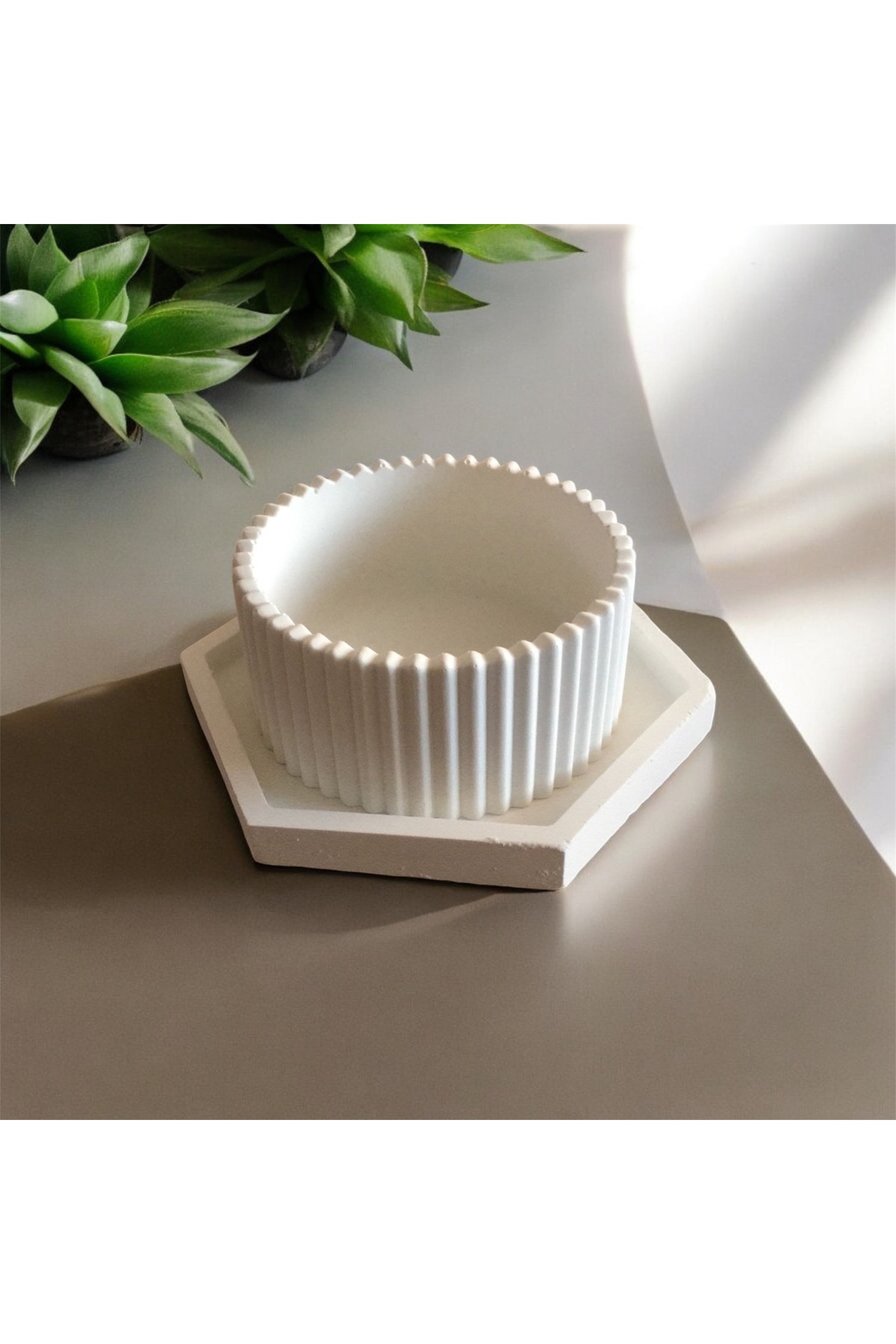 Tabaklı Sukulent Saksısı (Özel Üretim)