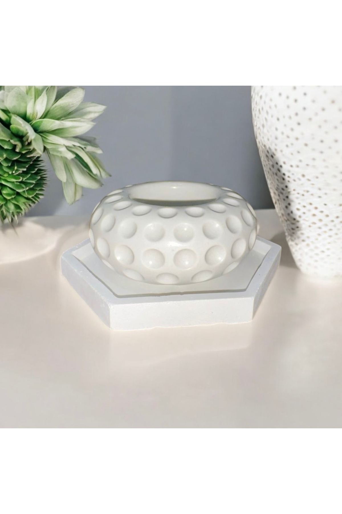 Tabaklı Sukulent Saksısı (Özel Üretim)