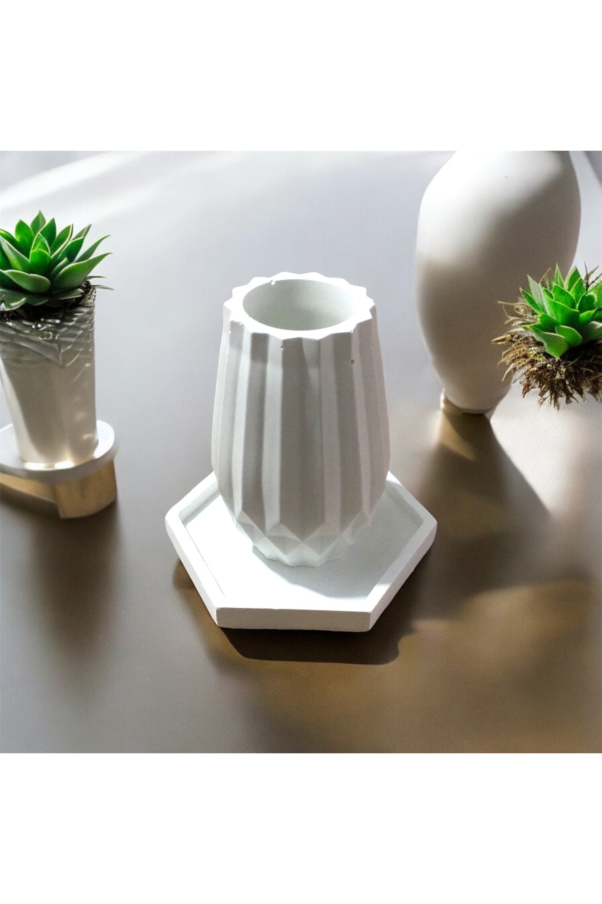 Tabaklı Sukulent Saksısı (Özel Üretim)